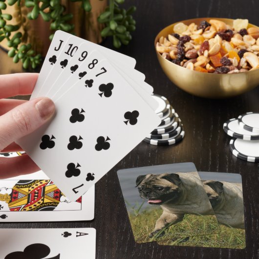 Spelend nabij water pokerkaarten (Insitu)