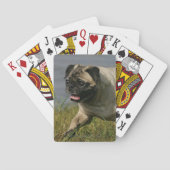 Spelend nabij water pokerkaarten (Achterkant)