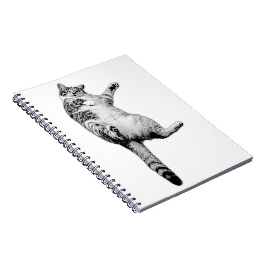 Spelende inspiratie in monochroom notitieboek (Rechterzijde)