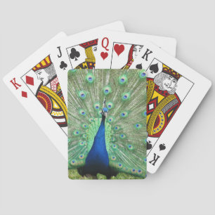 Spelkaarten - Peacock Pokerkaarten
