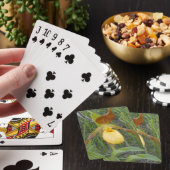 Spelkaarten, standaard pokerkaarten (Insitu)