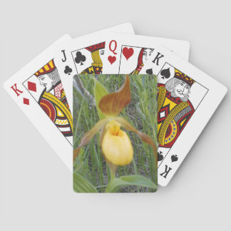 Spelkaarten, standaard pokerkaarten