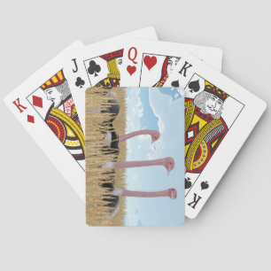 Spelkaarten voor struisvogels pokerkaarten