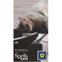 Spellen voor katten: Kalme Kitty (Kalmerend)