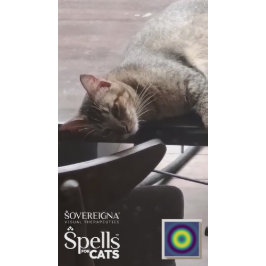 Spellen voor katten: Kalme Kitty (Kalmerend) Sticker