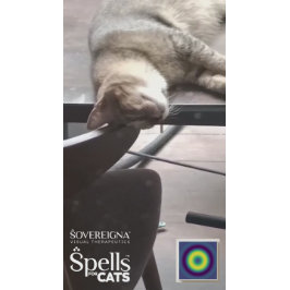 Spells for Cats: Calm Kitty (Calming) Sticker