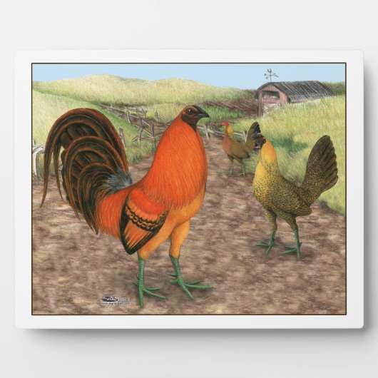 Spelpluimvee op de boerderij fotoplaat (Voorkant)