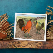 Spelpluimvee op de boerderij fotoplaat (Zijkant)