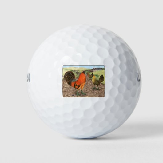 Spelpluimvee op de boerderij golfballen (Voorkant)