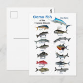 Spelvis van de tropische Atlantische Oceaan Briefkaart (Voorkant / Achterkant)