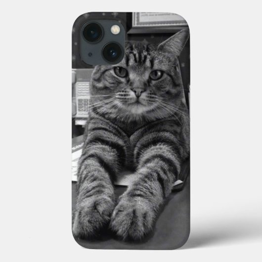 Spencer Cat iPhone 6 Hoesje (Achterkant)