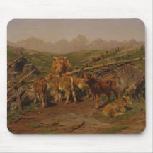 Spenen van de Kalveren (Rundveehouderij)