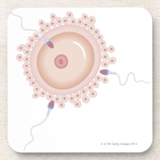 Sperm bevattende gemuteerde genen bier onderzetter (Voorkant)