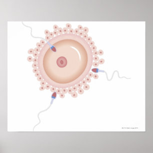 Sperm bevattende gemuteerde genen poster