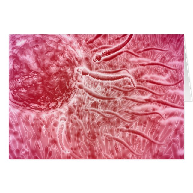 Sperm die naar eieren met Cellia gaat (Voorkant Horizontaal)