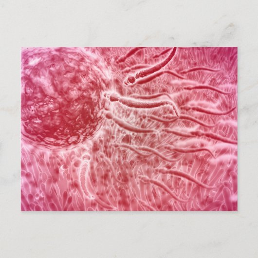 Sperm die naar eieren met Cellia gaat Briefkaart (Voorkant)