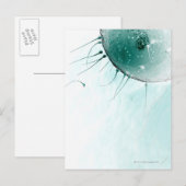 Sperm Fertilizing an Ovum. Briefkaart (Voorkant / Achterkant)
