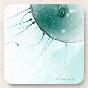 Sperm Fertilizing an Ovum. Drankjes Onderzetter