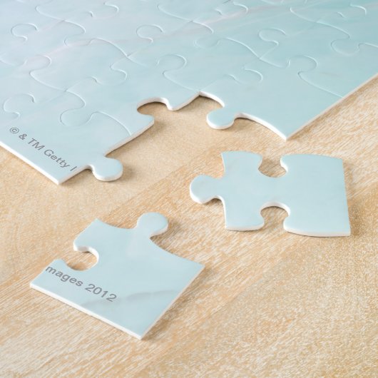 Sperm Fertilizing an Ovum. Legpuzzel (Zijkant)