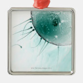 Sperm Fertilizing an Ovum. Metalen Ornament (Voorkant)