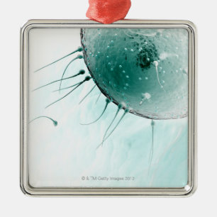 Sperm Fertilizing an Ovum. Metalen Ornament