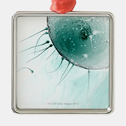 Sperm Fertilizing an Ovum. Metalen Ornament (Voorkant)