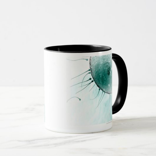 Sperm Fertilizing an Ovum. Mok (Voorkant rechts)