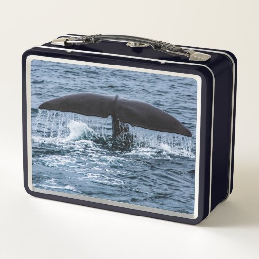 Sperm Whale (Achterkant)