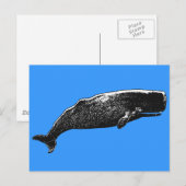 Sperm Whale Briefkaart (Voorkant / Achterkant)