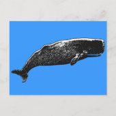 Sperm Whale Briefkaart (Voorkant)