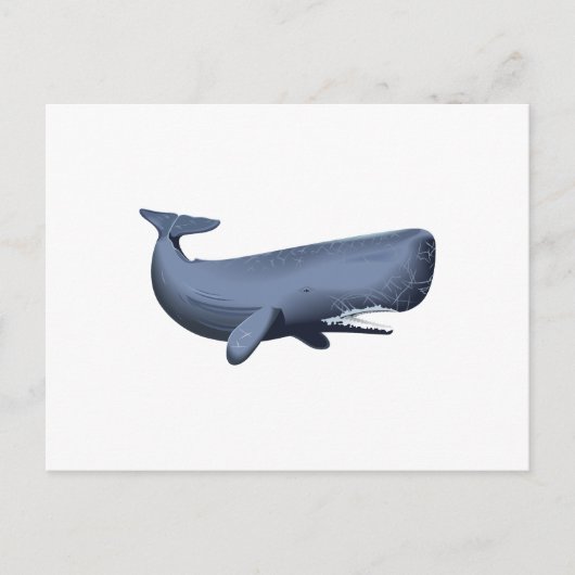 SPERM WHALE BRIEFKAART (Voorkant)
