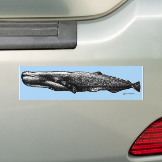 Sperm Whale Bumpersticker (Op auto)