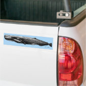 Sperm Whale Bumpersticker (Op Truck)
