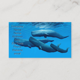 Sperm Whale Family Visitekaartje