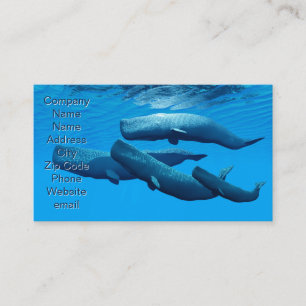 Sperm Whale Family Visitekaartje