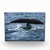 Sperm Whale Fotoblokken (Voorkant)