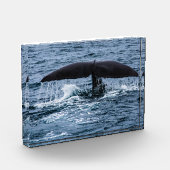Sperm Whale Fotoblokken (Links)