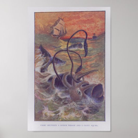 Sperm Whale Giant Squid Fight Color Print (Voorkant)