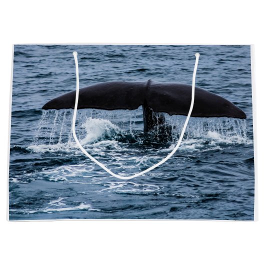 Sperm Whale Groot Cadeauzakje (Voorkant)