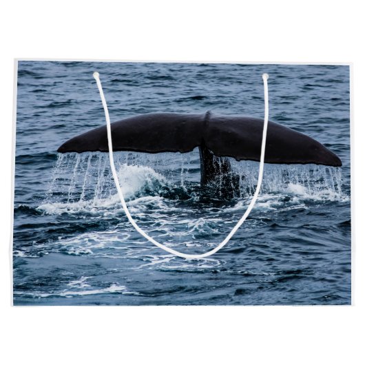 Sperm Whale Groot Cadeauzakje (Achterkant)