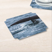 Sperm Whale Kartonnen Onderzetters (Gekanteld)