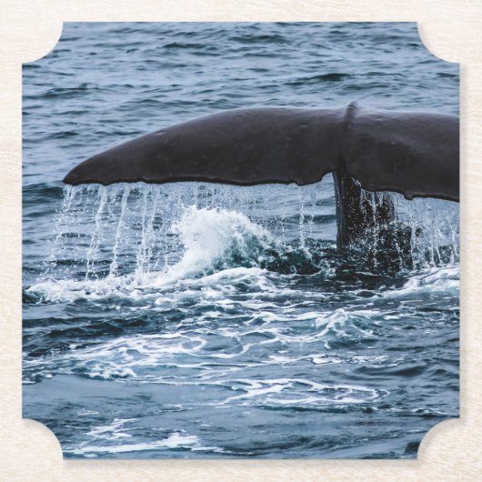 Sperm Whale Kartonnen Onderzetters (Voorkant)