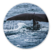 Sperm Whale Keramische Knop (Voorkant)