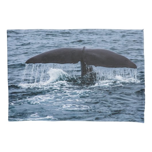 Sperm Whale Kussensloop (Voorkant)