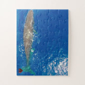 Sperm Whale Legpuzzel (Verticaal)