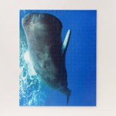 Sperm Whale Legpuzzel (Verticaal)