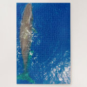 Sperm Whale Legpuzzel (Verticaal)