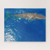 Sperm Whale Legpuzzel (Horizontaal)
