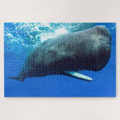 Sperm Whale Legpuzzel (Horizontaal)