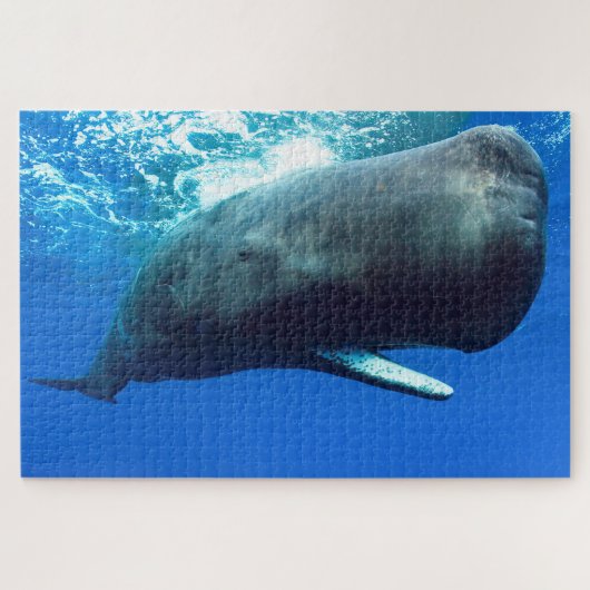 Sperm Whale Legpuzzel (Horizontaal)